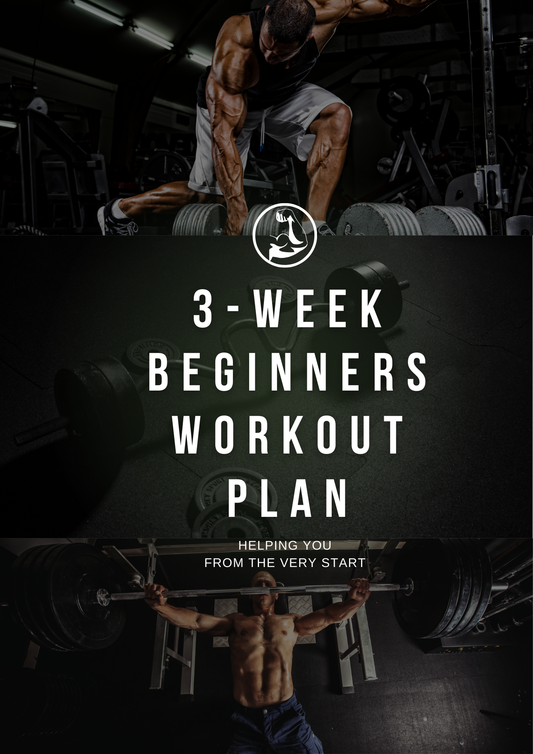 3 week beginners workout plan