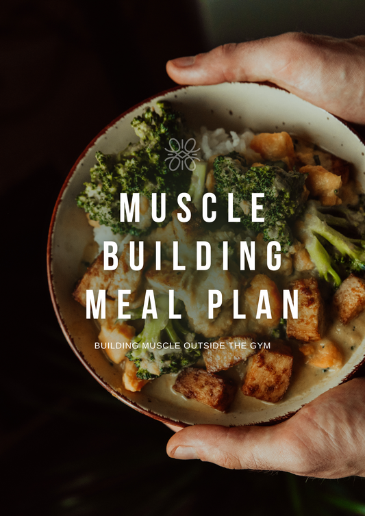 muscle building meal plan